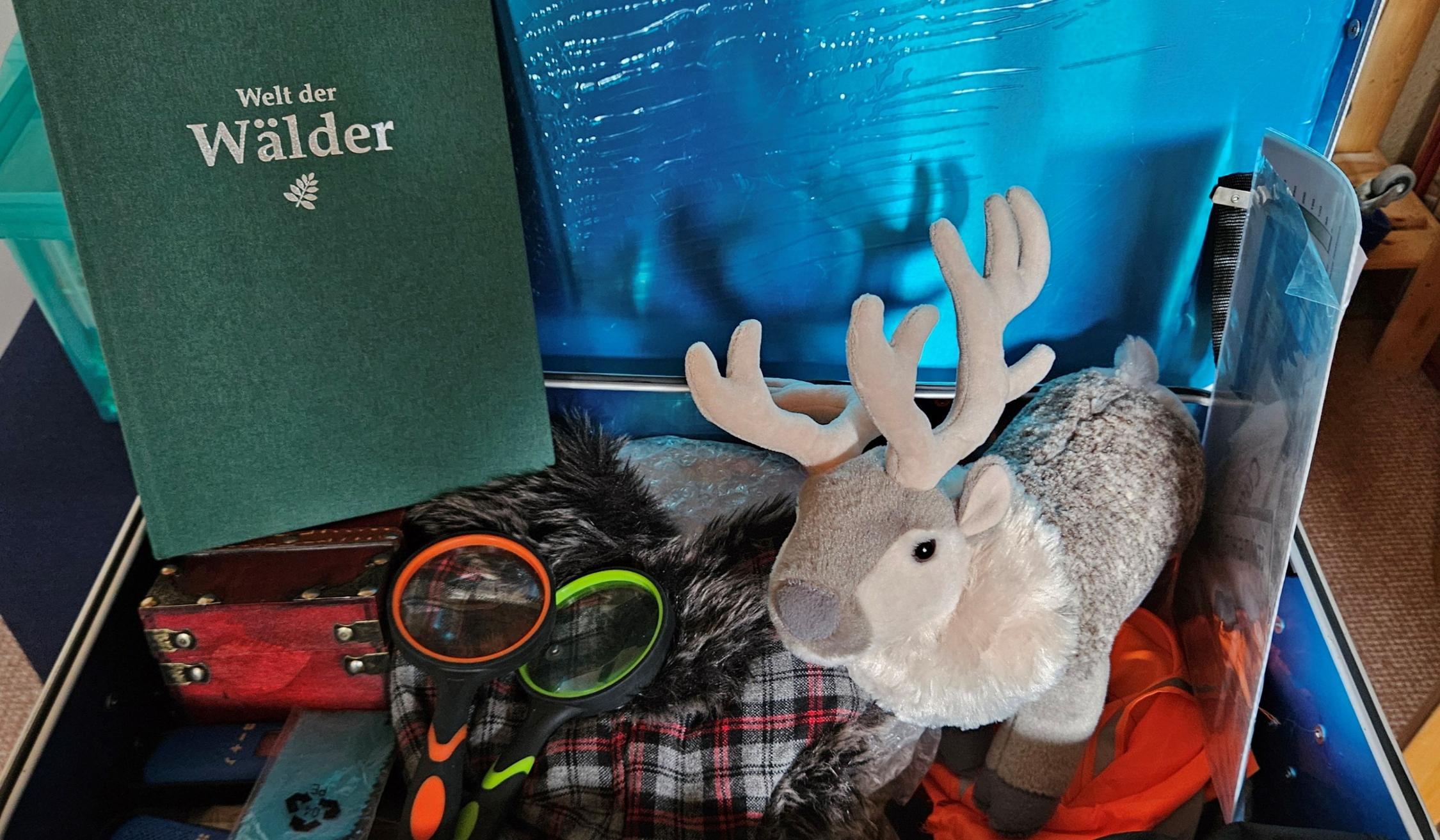 Welt der Wälder - Bücherei