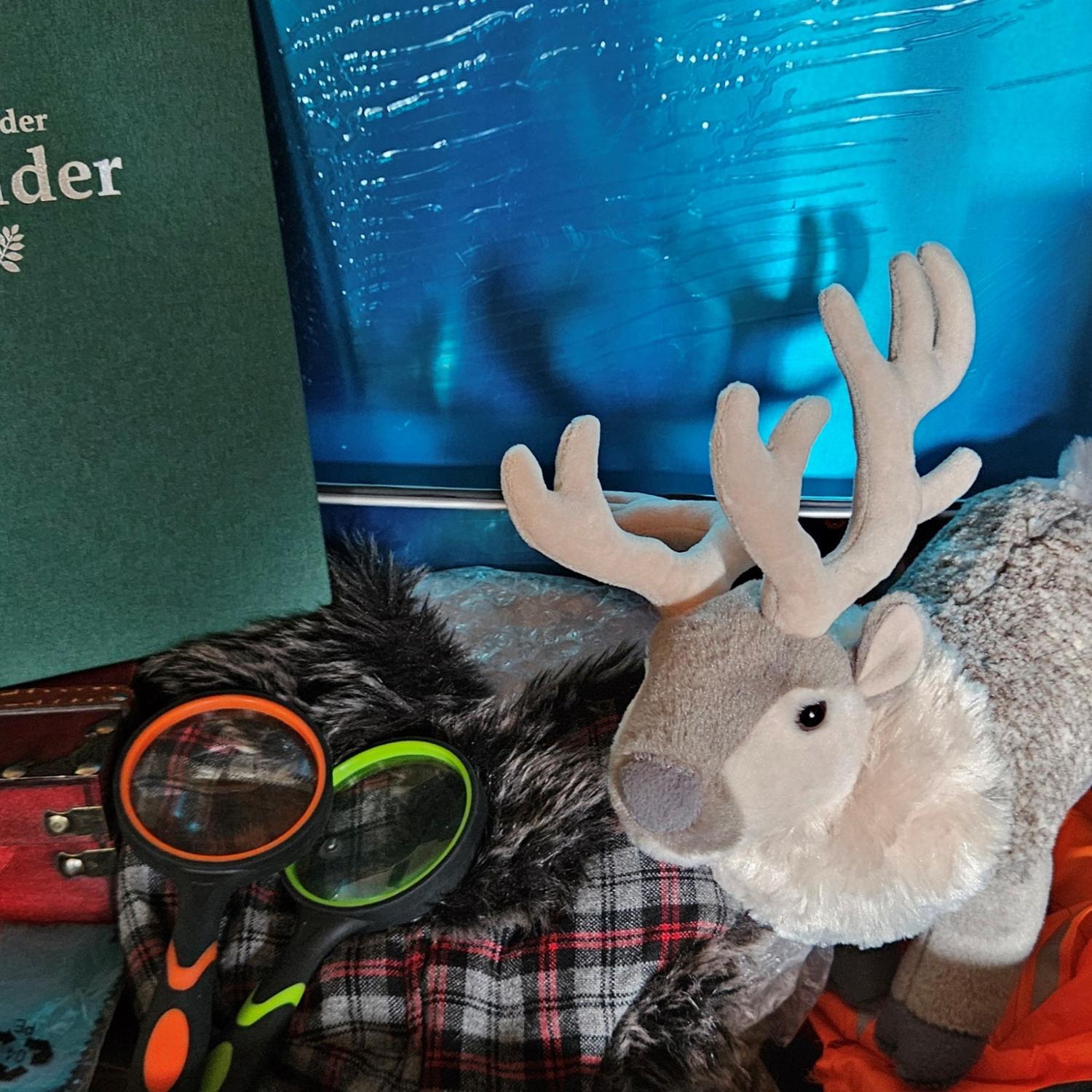 Welt der Wälder - Bücherei